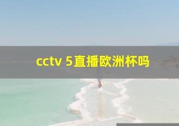 cctv 5直播欧洲杯吗